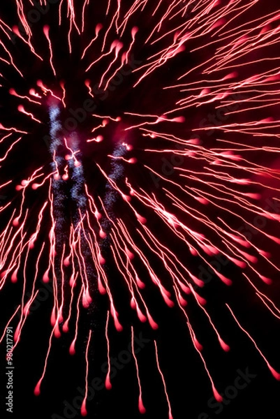 Obraz Fireworks