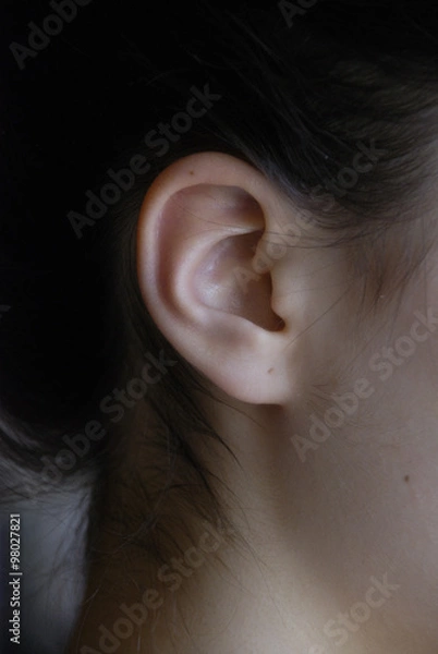 Fototapeta The ear