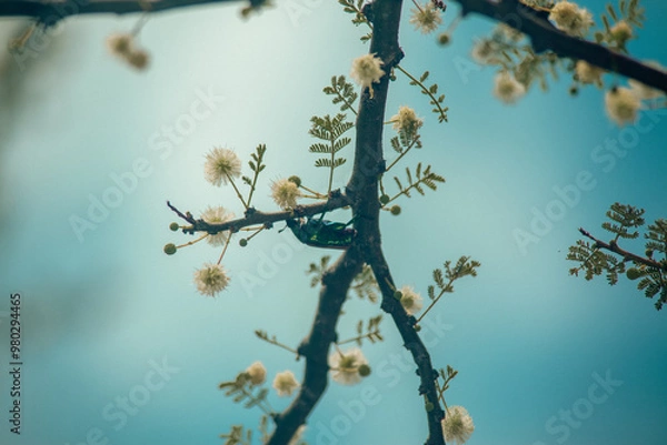 Obraz Arboretum Fall 2024 Collection