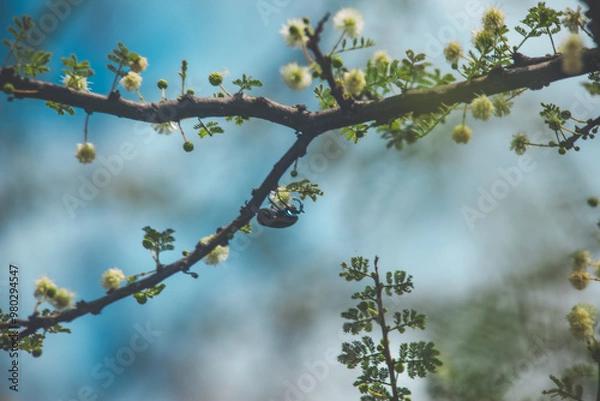 Obraz Arboretum Fall 2024 Collection