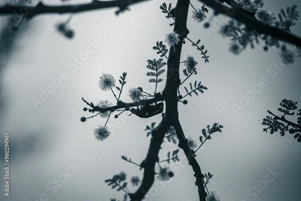 Obraz Arboretum Fall 2024 Collection