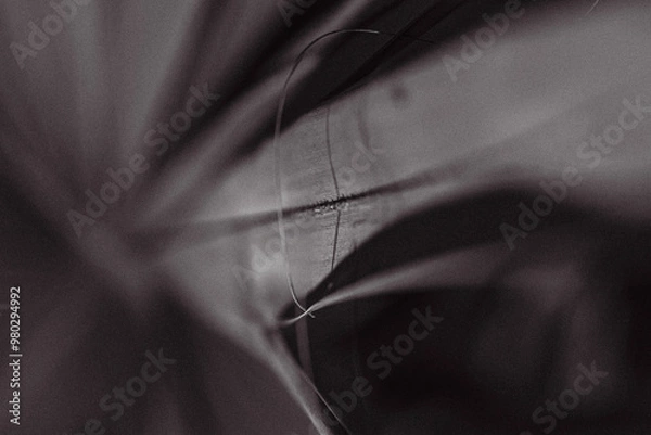 Obraz Arboretum Fall 2024 Collection