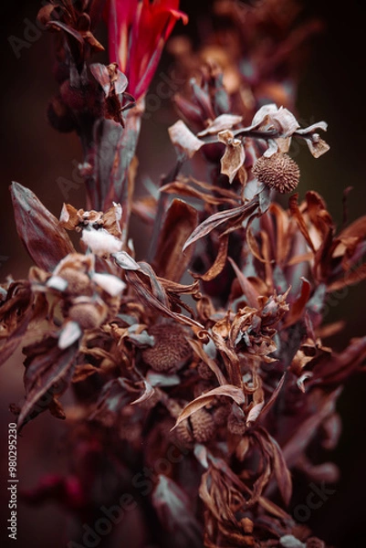 Obraz Arboretum Fall 2024 Collection