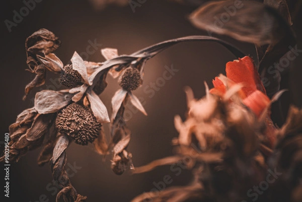 Obraz Arboretum Fall 2024 Collection