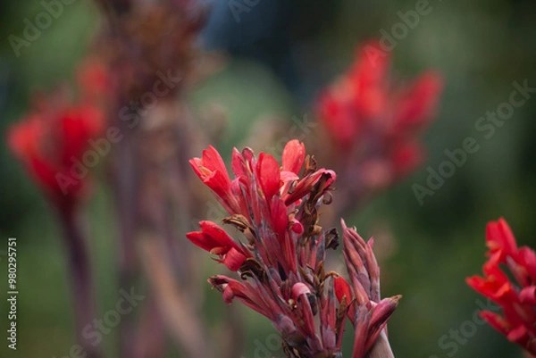 Obraz Arboretum Fall 2024 Collection