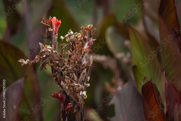 Obraz Arboretum Fall 2024 Collection