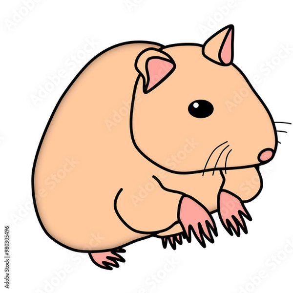 Obraz ポップで可愛いハムスター