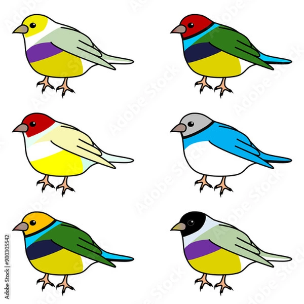 Obraz ポップで可愛いコキンチョウ達