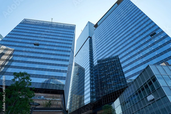 Fototapeta うめきた公園から見る高層ビル