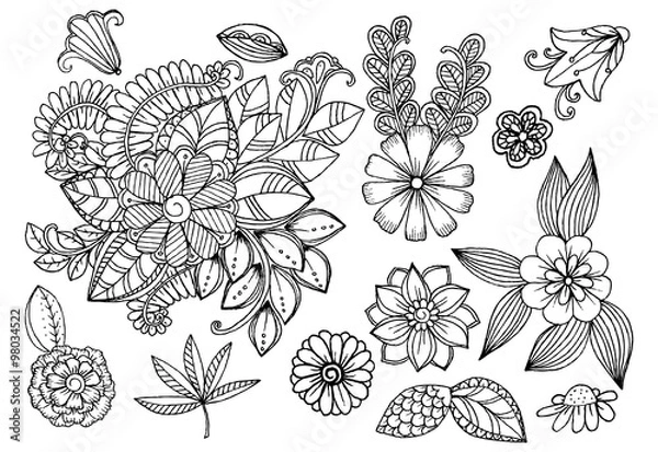 Obraz Set of doodle floral elements for design or coloring