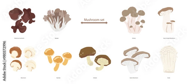 Fototapeta テクスチャーのあるきのこセットのベクターイラスト