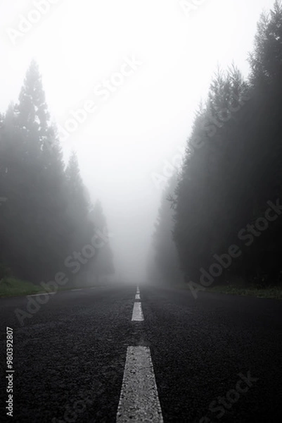 Obraz Route embrumée