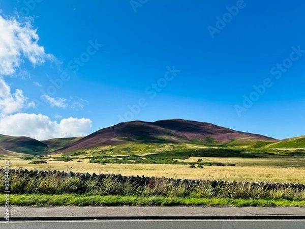 Fototapeta landscape with vineyard