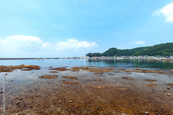 Fototapeta 【青森県：資料】漁港の風景