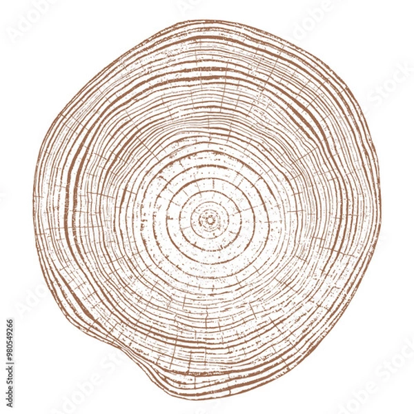 Fototapeta Tree wood texture. Wooden old trunk. Cut timber log. Abstract rings nature pattern. Brown circle stump. Wood cross section.