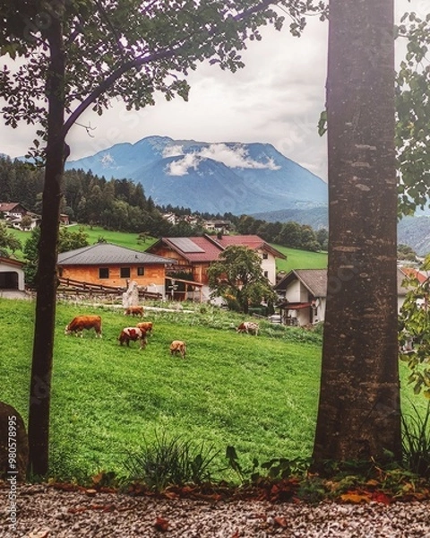 Fototapeta A picturesque view from Rietz, Austria, with grazing cows in a green pasture, framed by trees. Alpine homes sit beneath misty mountains, creating a serene and peaceful rural landscape.