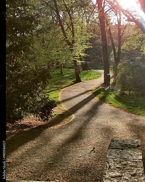 Fototapeta Sunlight filters through the trees casting long shadows on a winding path in Alter Park, Berlin. The natural beauty of the park is enhanced by the golden hour light, creating a peaceful atmosphere. 