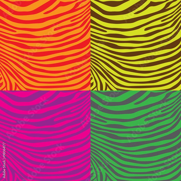 Fototapeta Colorful zebra stripes pattern, illustration
