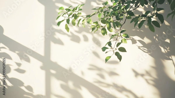 Fototapeta  Beautiful background Minimalistic light background with blurred foliage shadow on a white wall