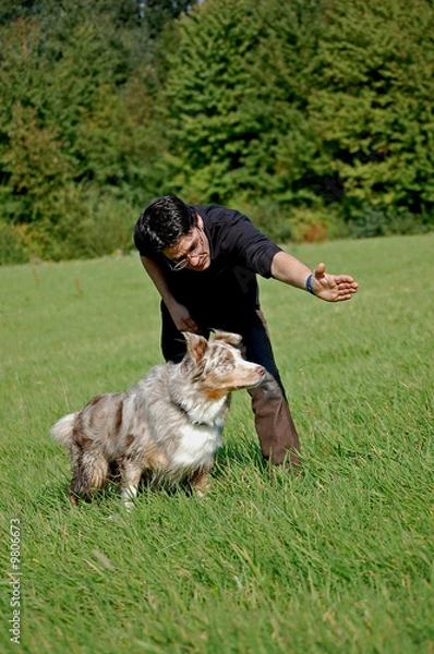 Obraz Hundetrainer