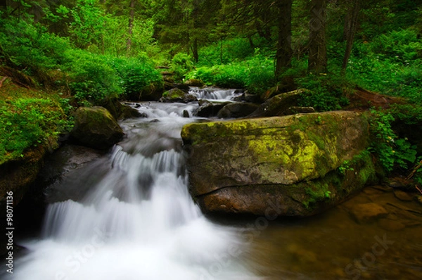 Fototapeta Mountain river