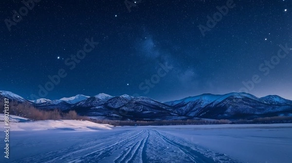 Obraz Snowy Path Under Starry Night Sky