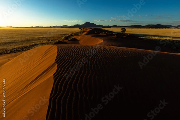 Obraz Wind swept patterns on red sand dune