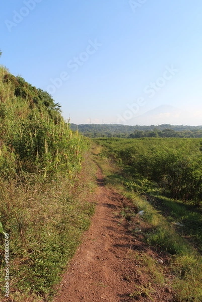 Obraz path in the mountains