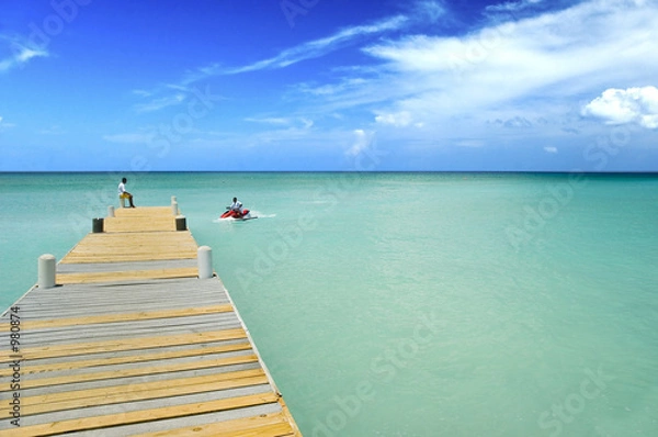 Obraz cayman dock