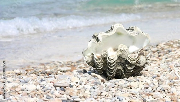 Obraz seashell on the beach