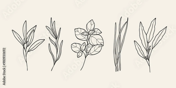 Obraz Line art culinary herbs collection