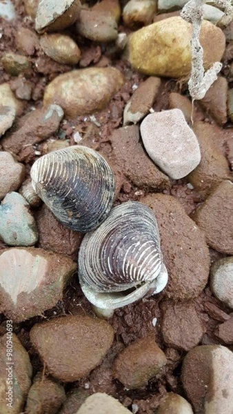 Obraz Lac du Salagou