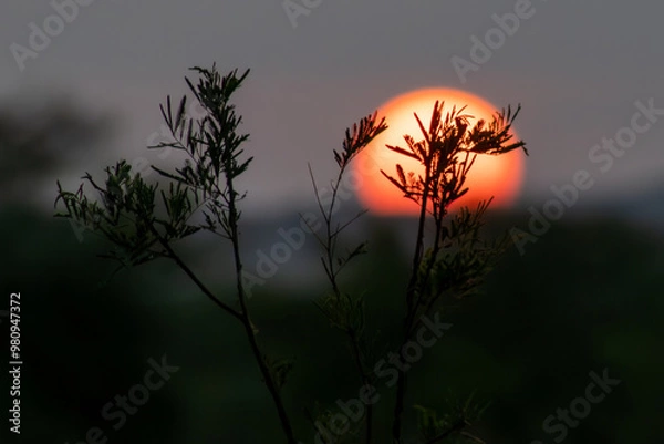 Obraz Paisagem, pôr do sol