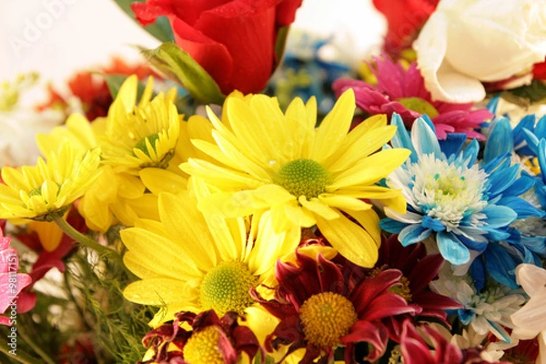 Obraz Çiçek buketi