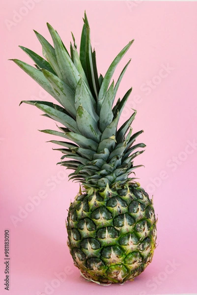 Obraz Whole pineapple standing against a power pink studio background 