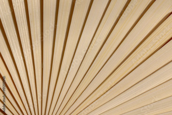Fototapeta Line and surface of weaving bamboo blow background, Details and close up of folding oriental fan handle, Nature abstract wood pattern texture.