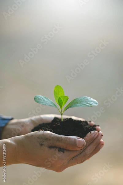 Fototapeta Seedling in hand Concept of World Environment Day and Sustainability on blurred nature background Vertical