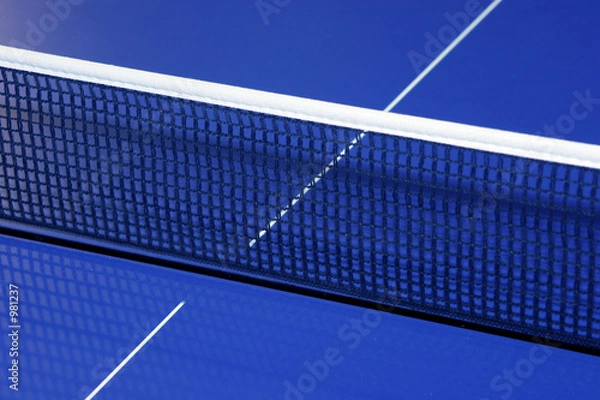 Fototapeta table tennis