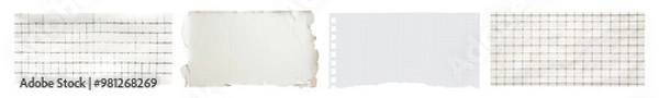 Fototapeta Torn paper png cut out element set