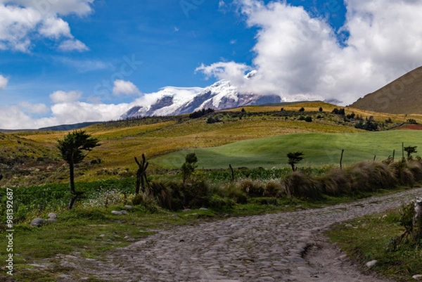 Obraz Andean landscape, Cayambe volcano