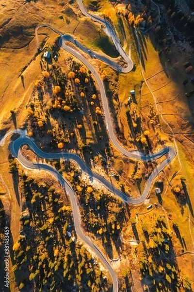 Obraz dragon on the rock