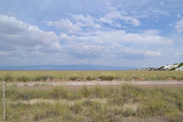 Fototapeta A green meadow with the White Sands dunes, New Mexico