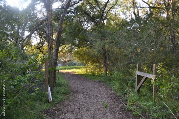 Fototapeta Forest Trail with Wooden Gate at Brazos Bend State Park, Texas