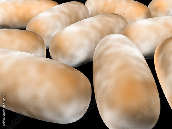 Obraz 3D render of bacteria