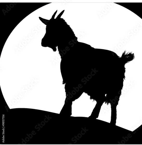 Obraz goat3 