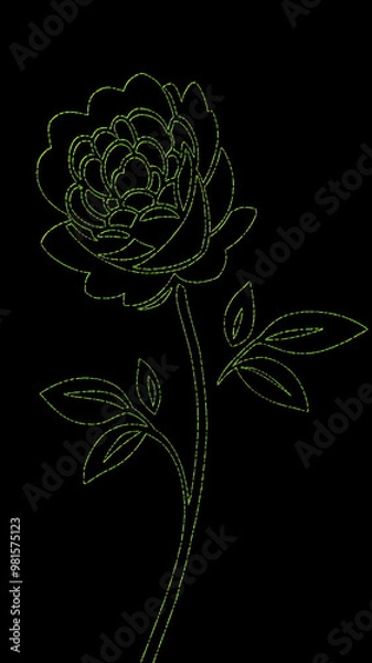 Obraz flower with green leaves on black background. Vector illustration.