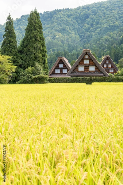 Fototapeta 白川郷の合掌造り