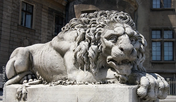 Obraz lion statue