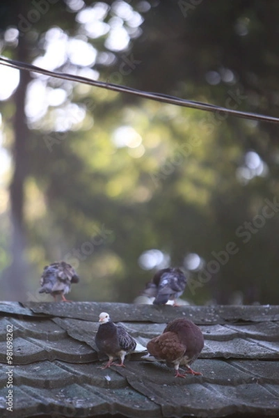 Obraz Bird on the tree