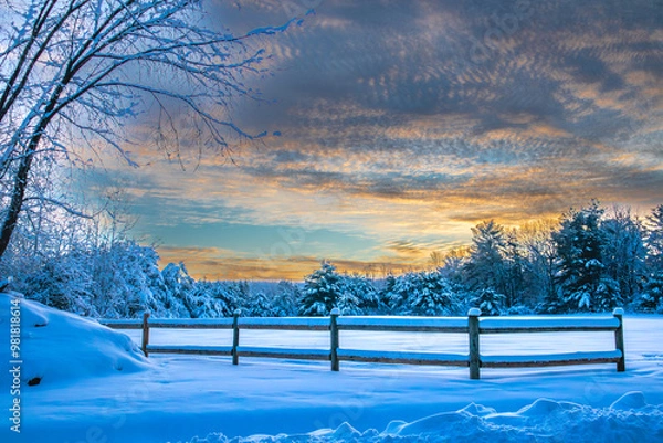 Obraz Wisconsin trees and fence covered with snow in January